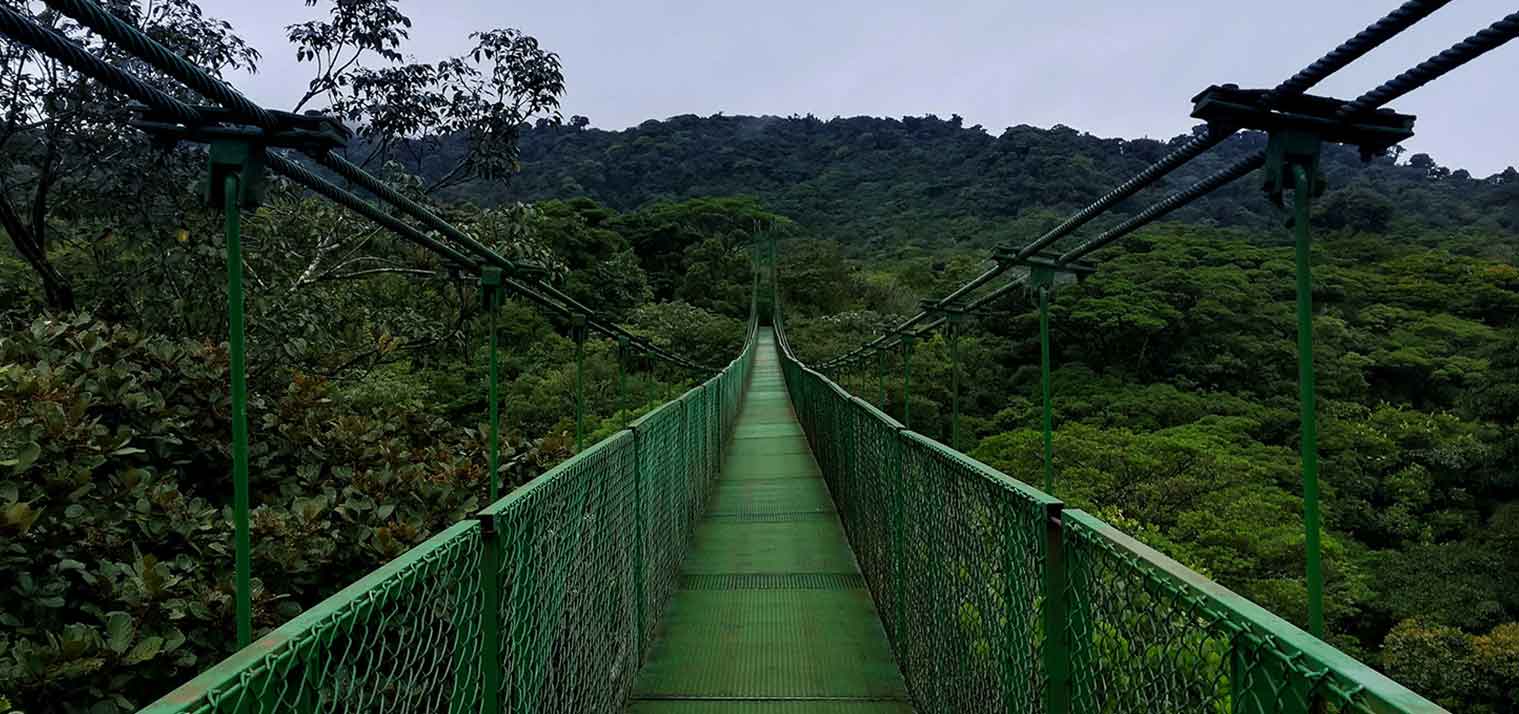 hanging bridges catravelers costa rica