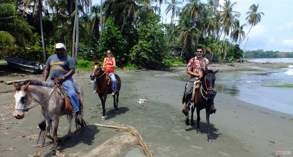 Horse riding in Cahuita